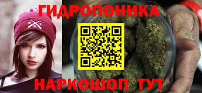 прущие грибы Балашиха