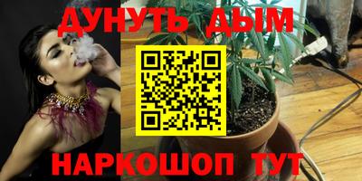 прущие грибы Балашиха