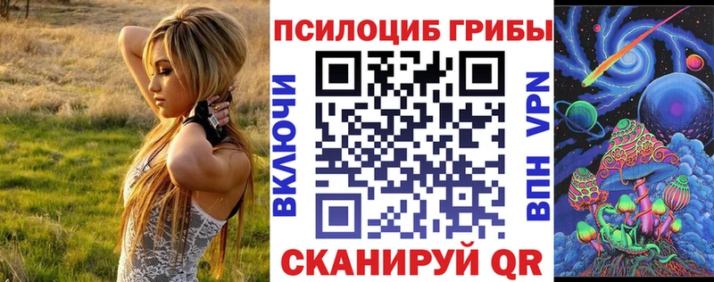 KRAKEN ссылки  Удомля  Галлюциногенные грибы Psilocybe 